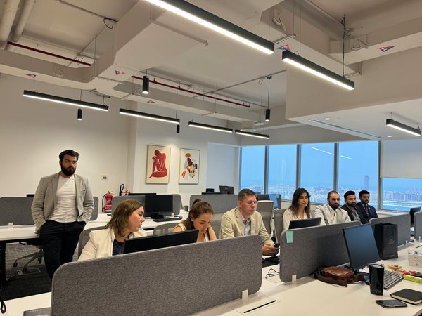 Welche Spielzeuge sind am besten für die mentale Stimulation von Haustieren geeignet?